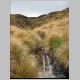 Tongariro Crossing 156.jpg